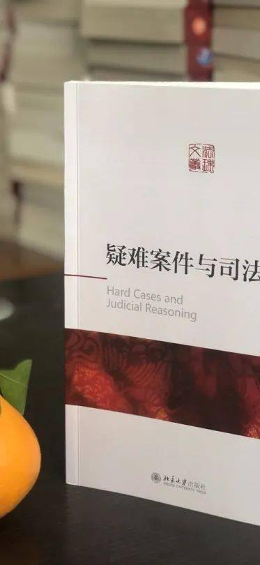 孙海波法官如何面对公共视野中的疑难案件