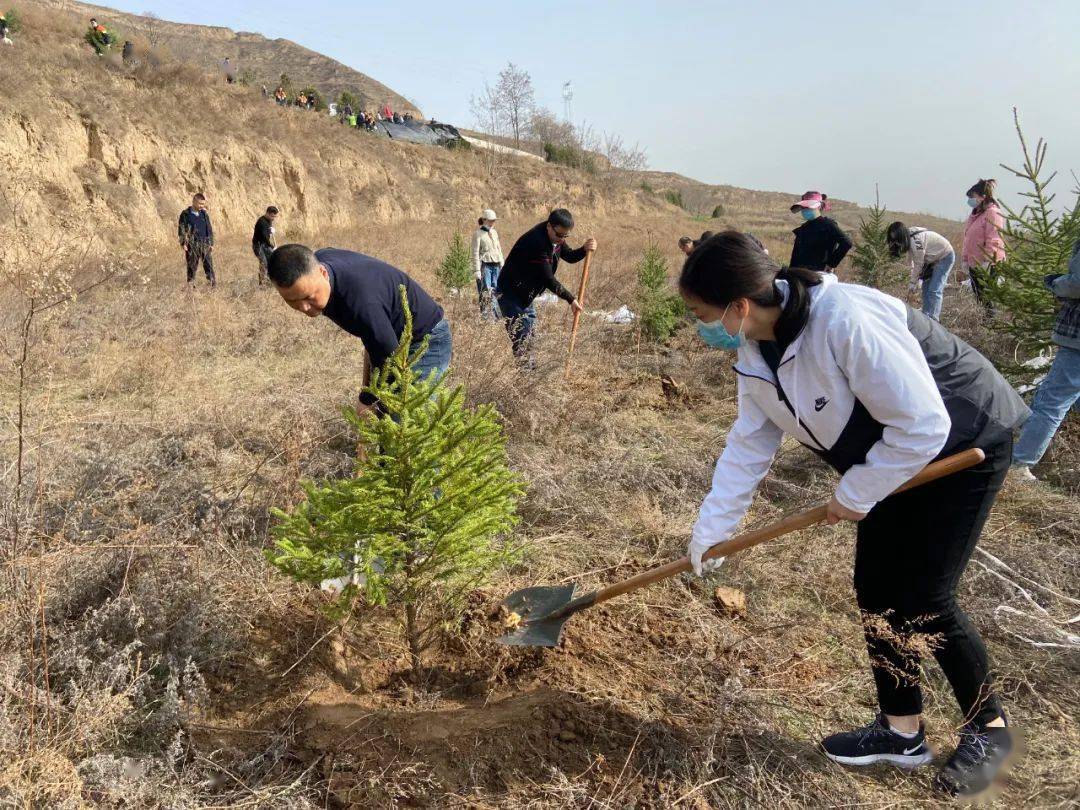 春回大地萬物蘇植樹造林正當時禮縣融媒體中心開展義務植樹造林活動