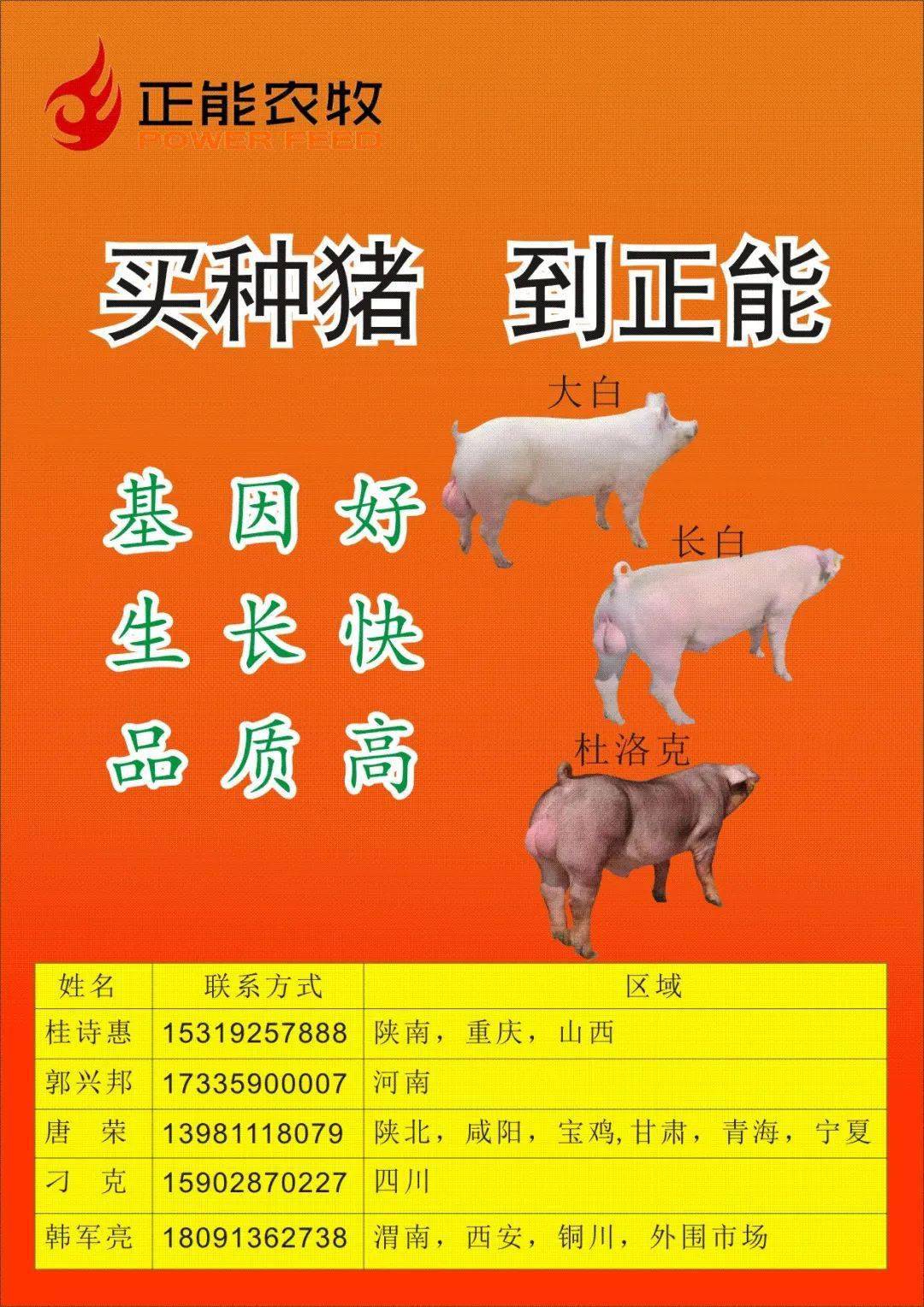 养猪资讯关注正能农牧微信公众平台掌握最新价格动态