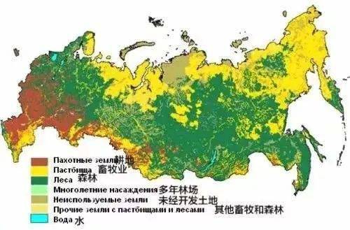 直接让半个俄罗斯都处于绿色之中世界第一的森林覆盖面积与矿藏资源相