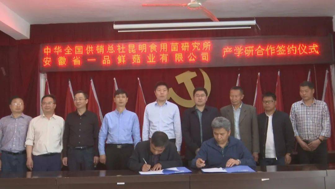 全国供销总社昆明食用菌研究所专家受邀到黄柏镇,调研指导羊肚菌产业