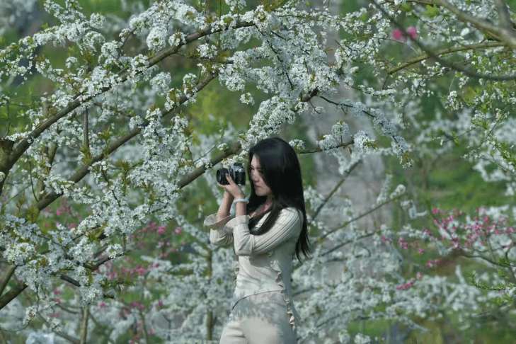 景区|山花烂漫｜忠县黄金镇数十万株繁花次第绽放