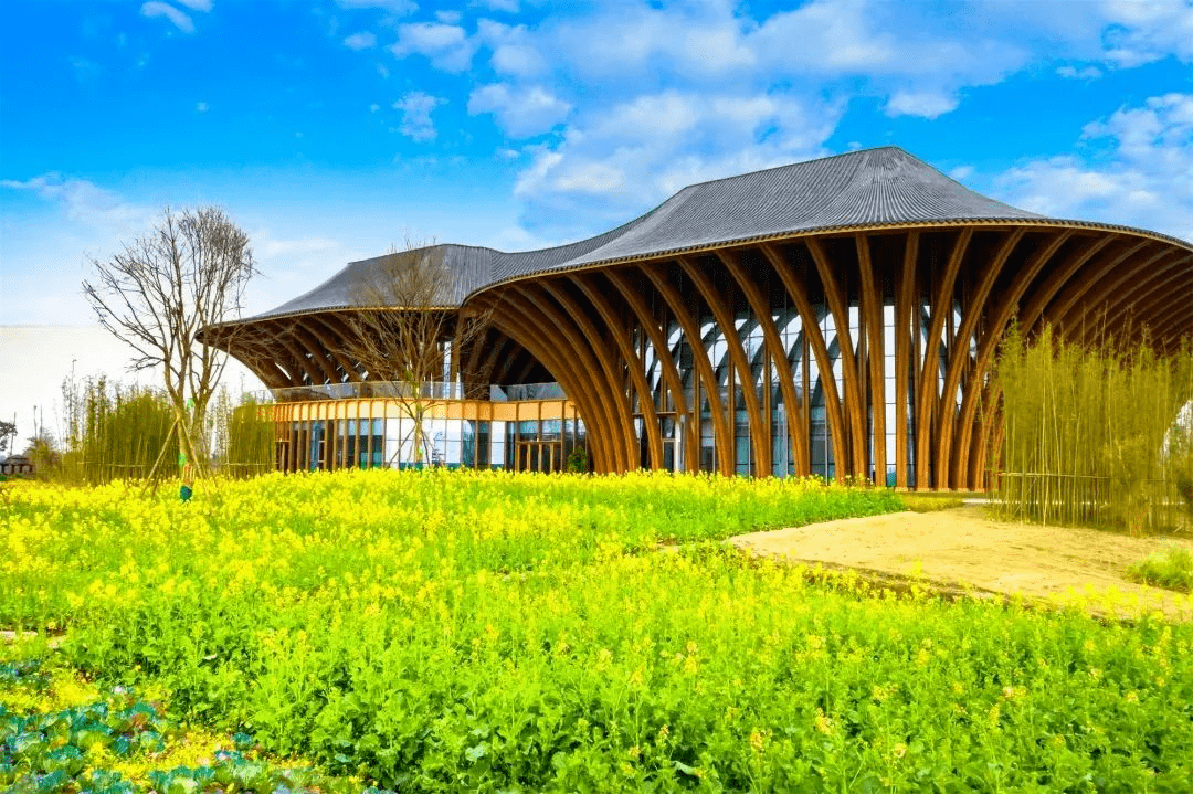 图源@新津文旅集团地址:新津天府农博园门票:免费除了以上提到的,新津