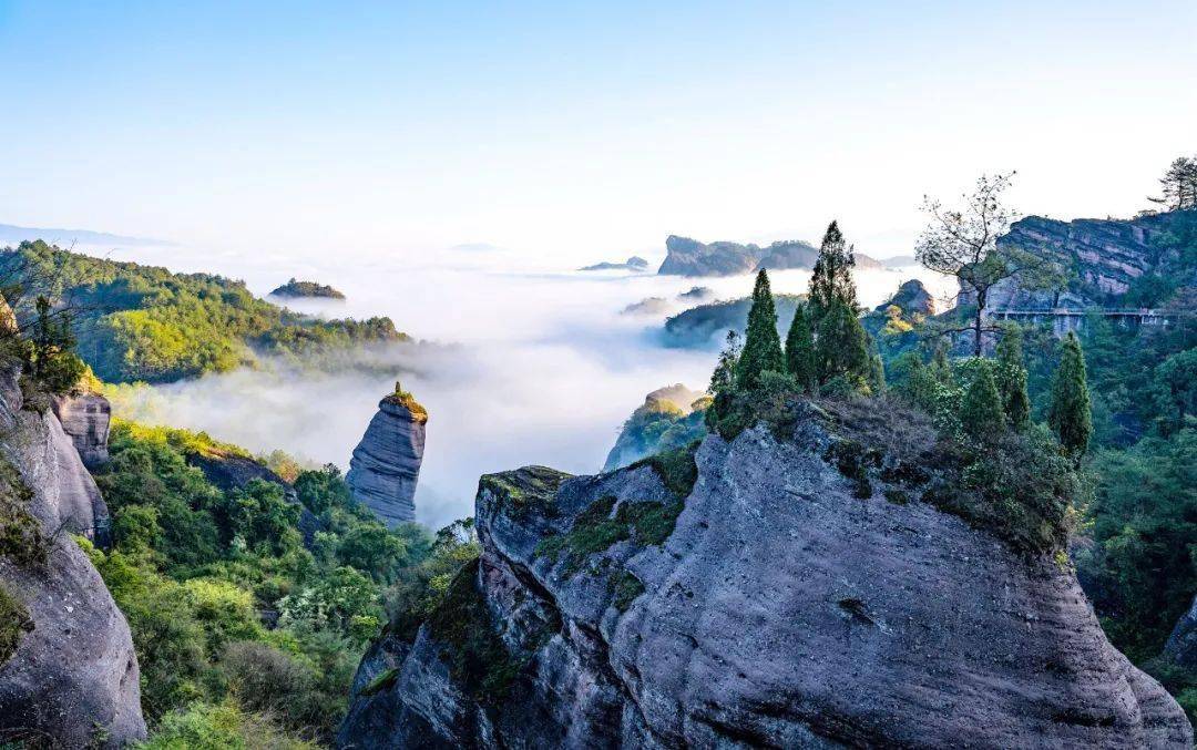 这里藏着中国最美的一柱擎天冠豸山生命之根