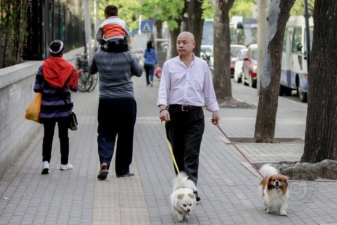 摄影中国摄影网签约摄影师赵守军《城市速写》