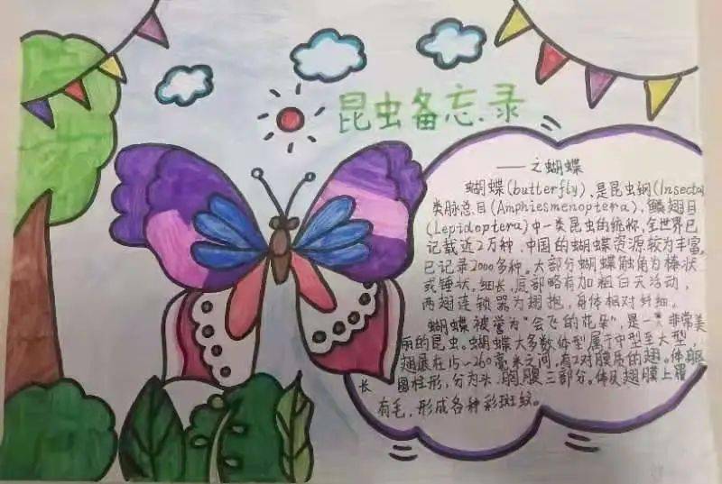 蝴蝶备忘录小学三年级图片