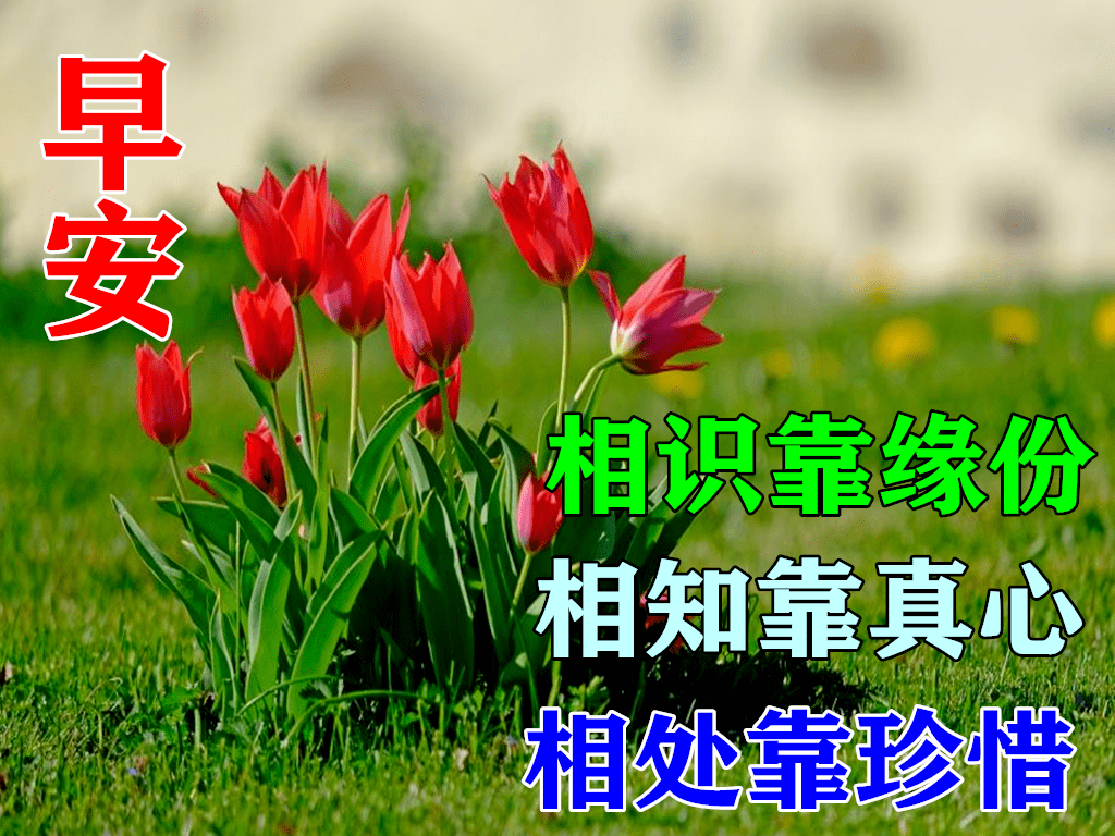 春季温馨早上好短信问候祝福语带图片,春天最清新的漂亮祝福语图片