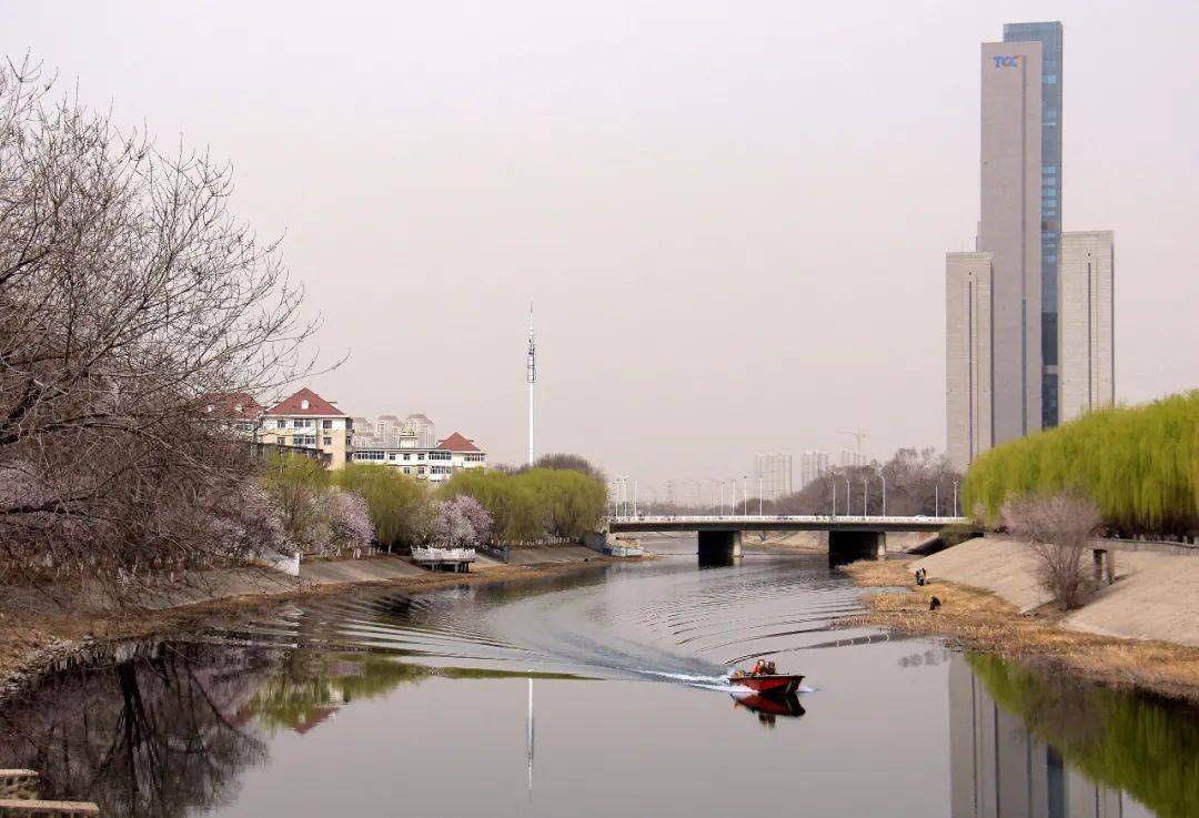 刘凤珍《相映成趣》——王新《一束桃花出墙来》——王润峰《依附