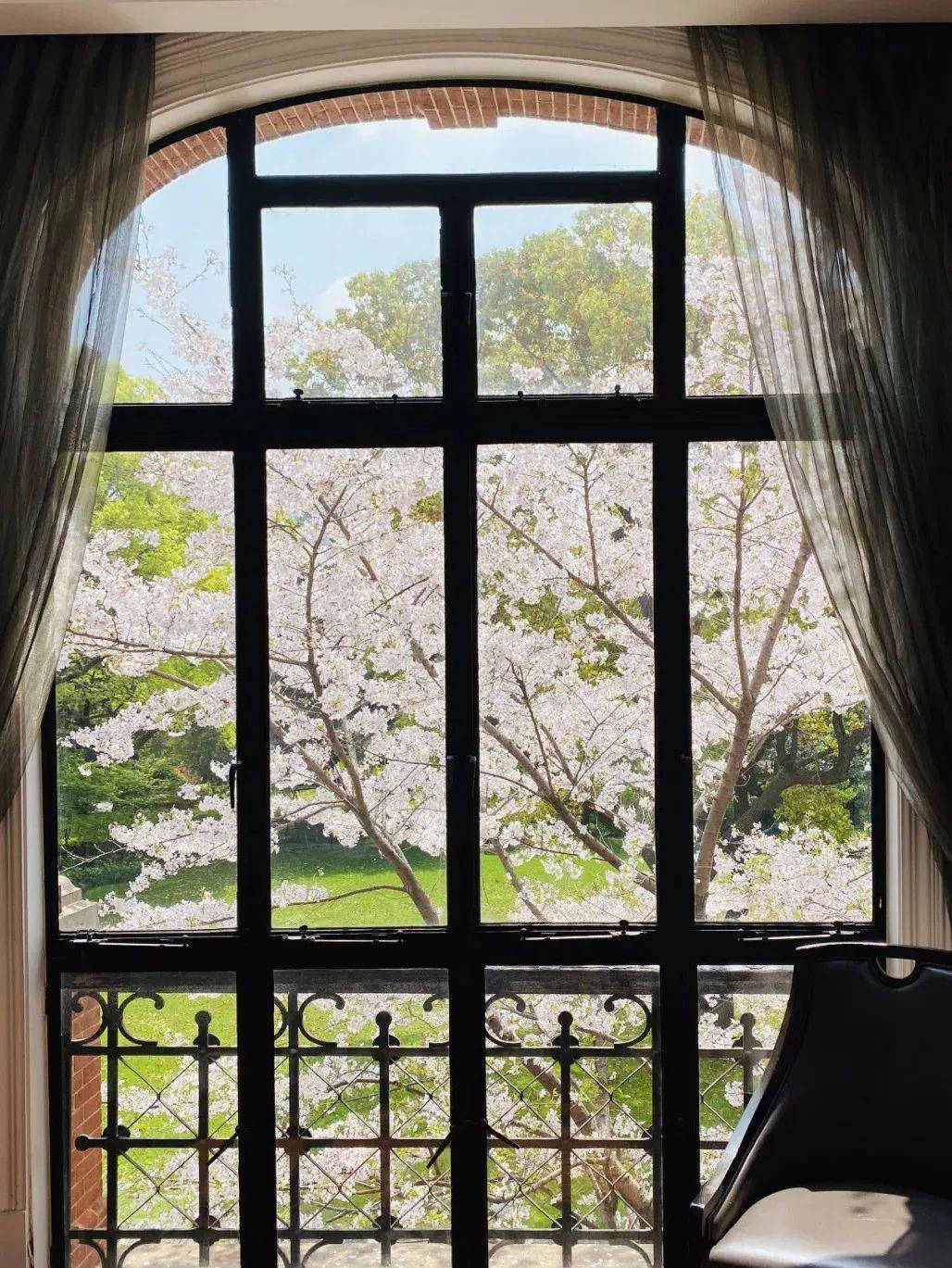 景区|春天，住进看得见樱花的房间