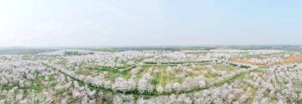 陈三虎|合肥蜀山：春润大地 生态富农