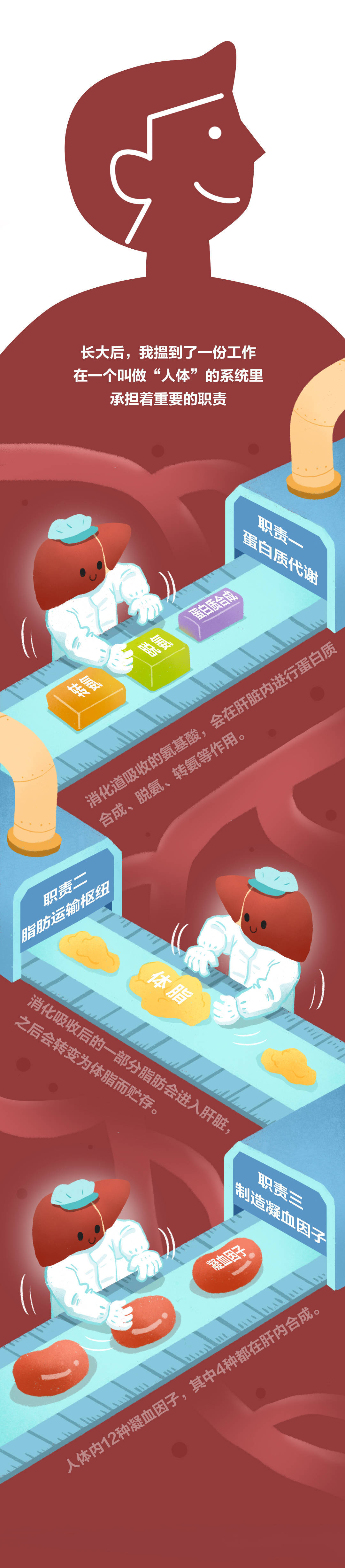 王道斌|比熬夜更伤肝！这些事你可能每天都在做......