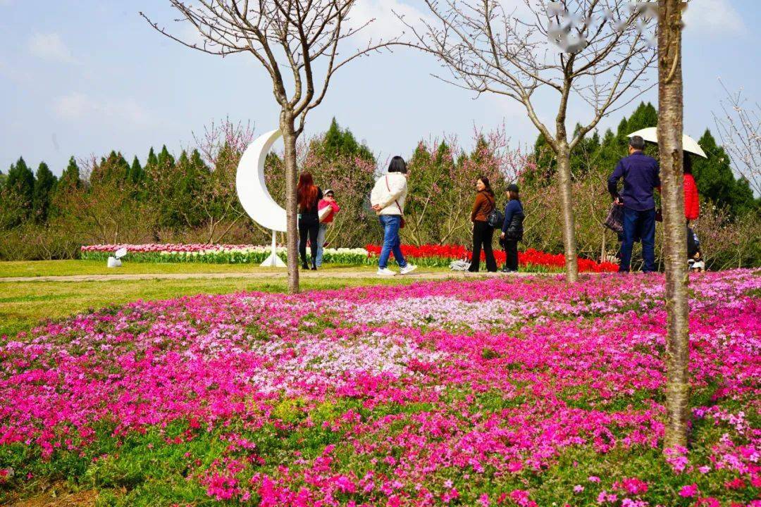 德阳芳菲谷图片