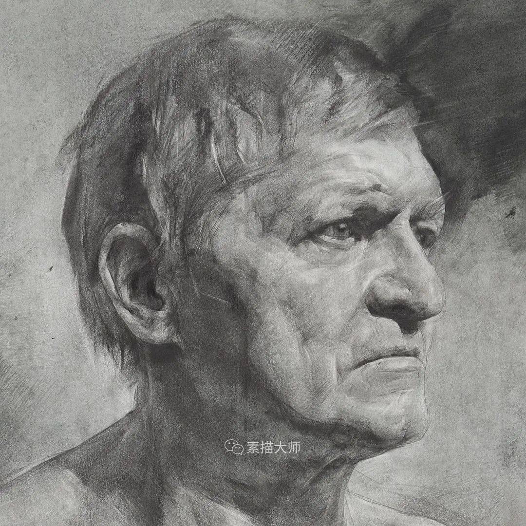 列宾美院人体与局部结构素描