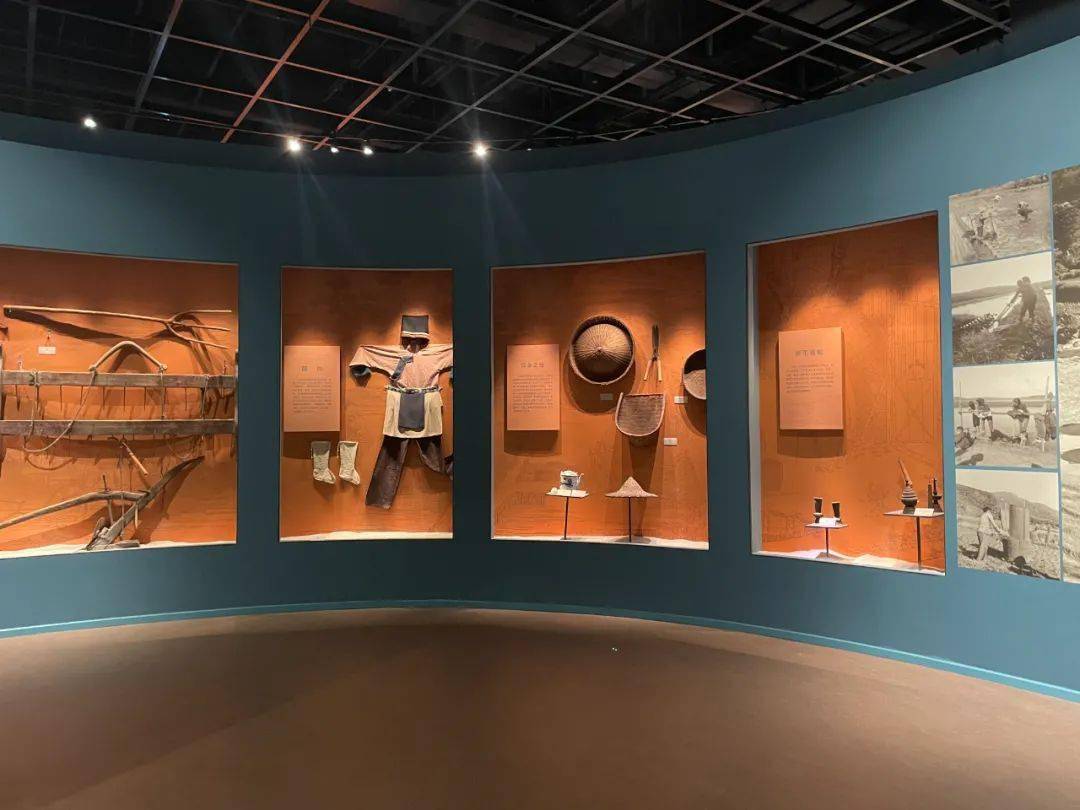 惠民卡积分打卡点一丨听太湖博物馆里的文物诉说长兴历史