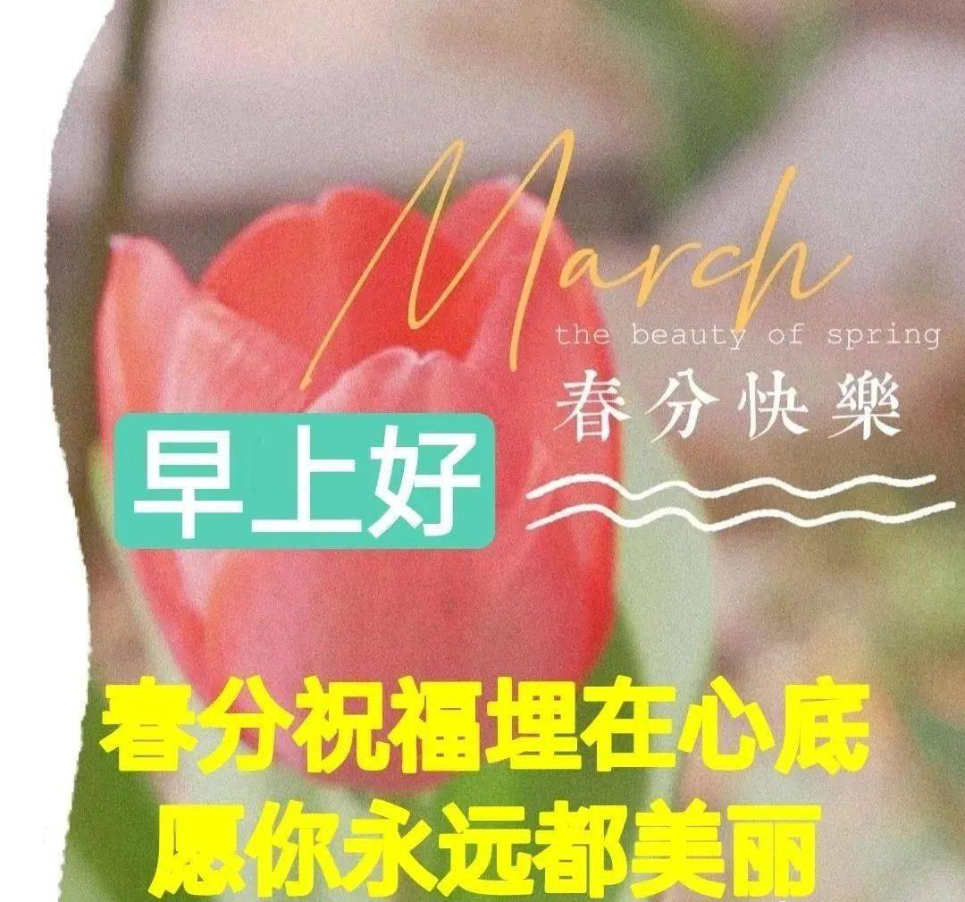 3月19日最漂亮的春分动态表情图片大全,春分早上好问候语句子!