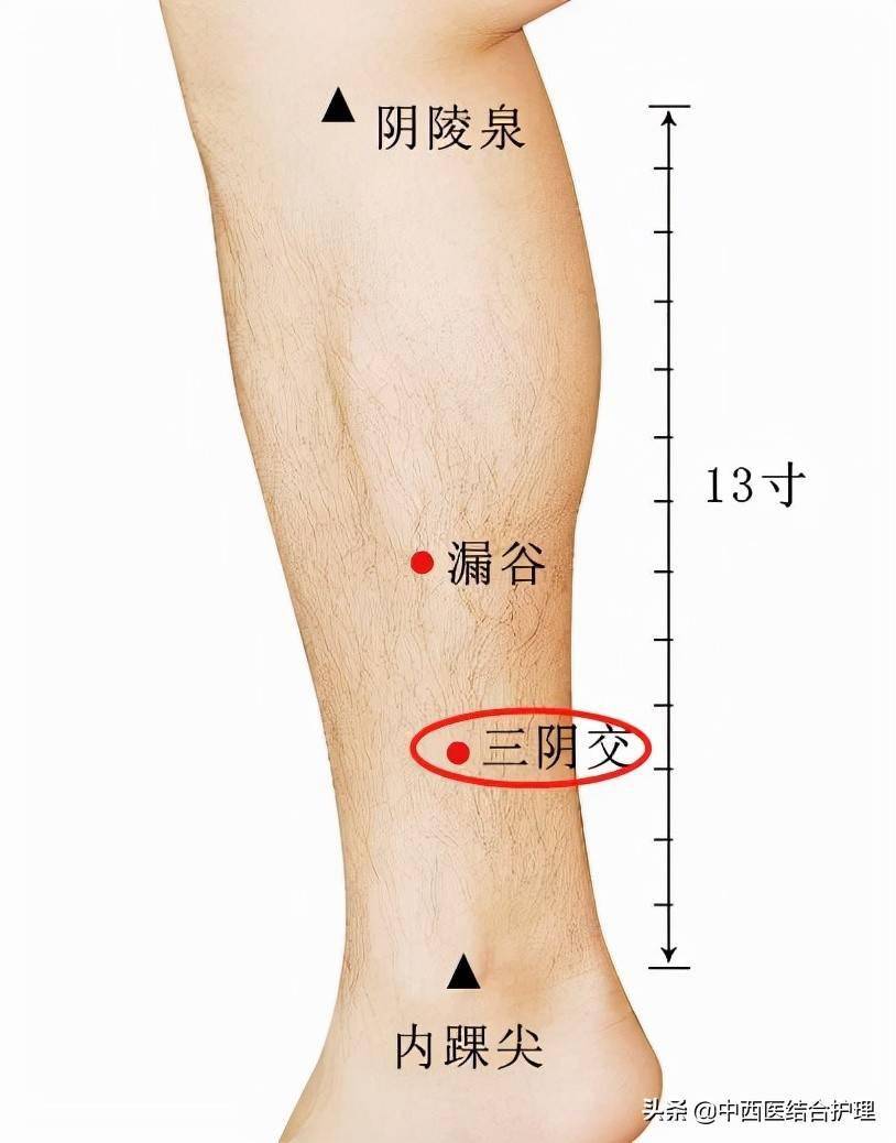 三阴交是肝脾肾三条经络的交会穴,一穴治三经,对滋养肝脾肾很好.