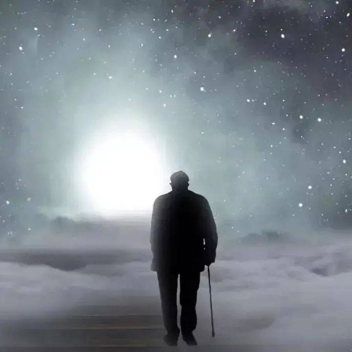 突然离世的遛狗老人‖郑玉娟_许昌_老家_老伴
