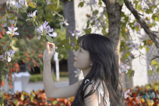 人间一抹春光看美好纵情弥漫摄影记者:大学生媒体中心张韶杰 李依晴