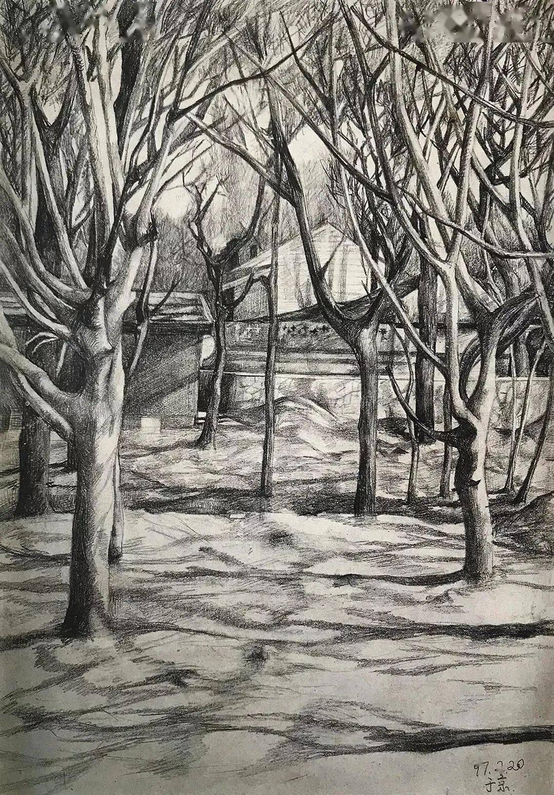 中央美术学院附中速写作品集