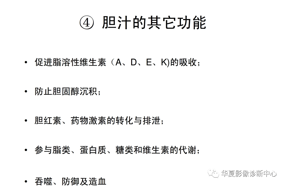 解剖|肝脏影像学与系统解剖