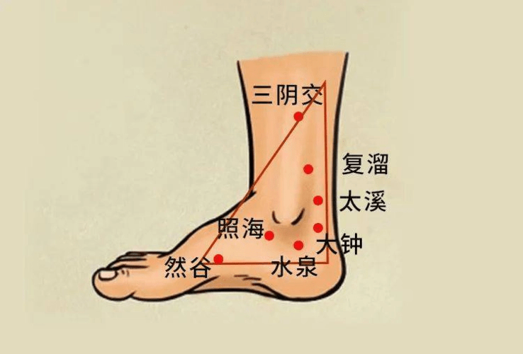 守住身上这几处三角区,就关上了疾病的大门_区域_运动_金三角