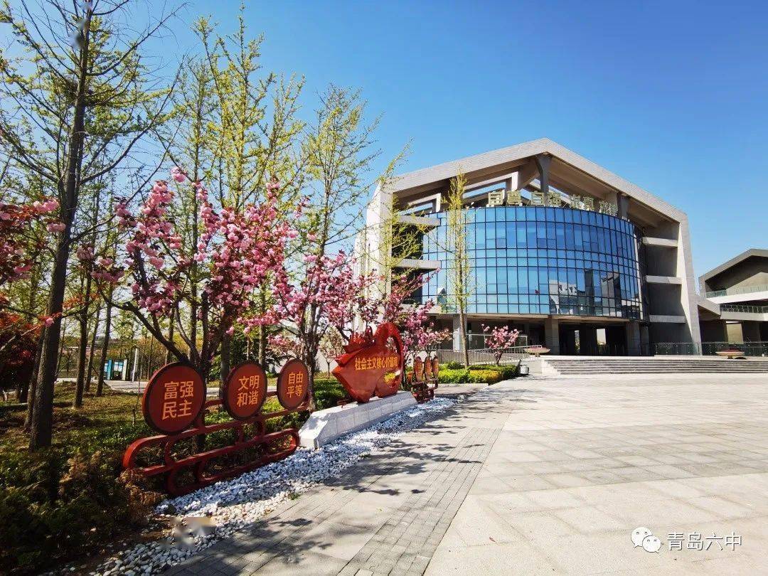 今日春分青岛六中拍了拍你邀您共赏美丽校园的春天