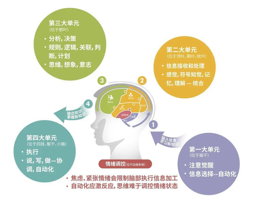 感知综合障碍 来自搜狐网