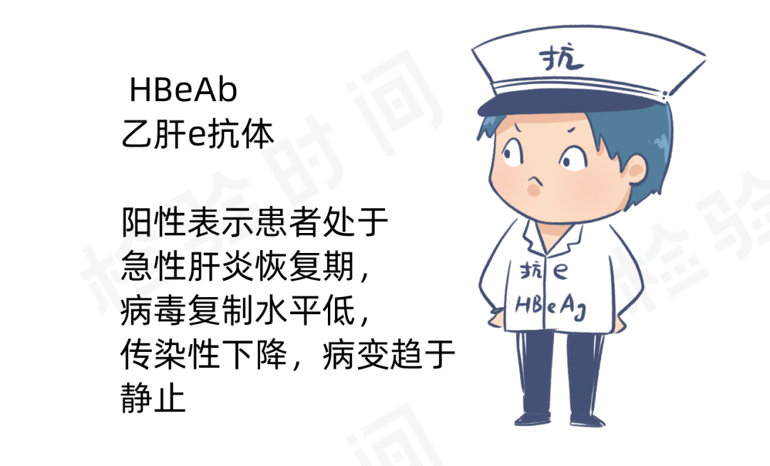 乙肝两对半到底怎么看漫画教你轻松读懂24种组合