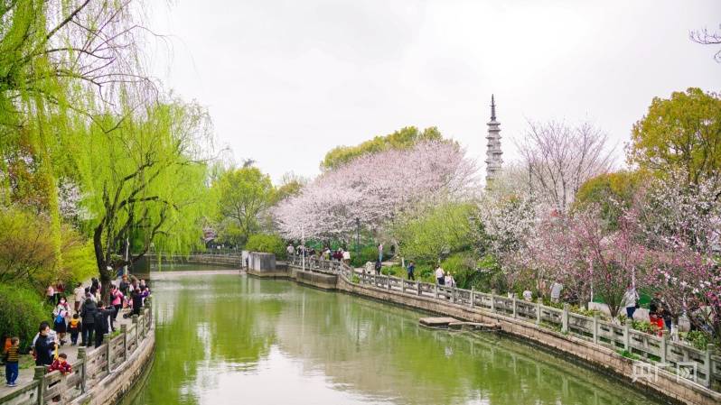 踏青|【浙里万水千山】西子曲水引流觞 少长踏青会春光