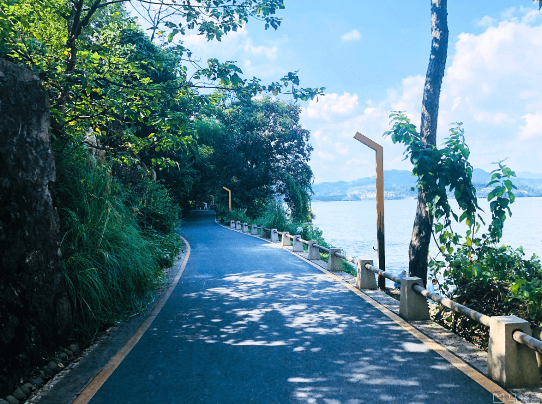 碧桃|「春日可赏花的市区免费营地」. rar