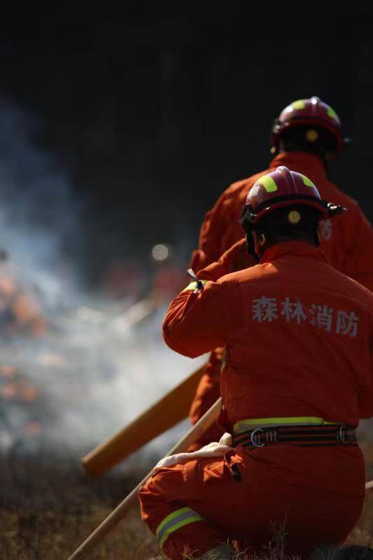 贵阳贵安四个全力做好高火险期森林防火工作