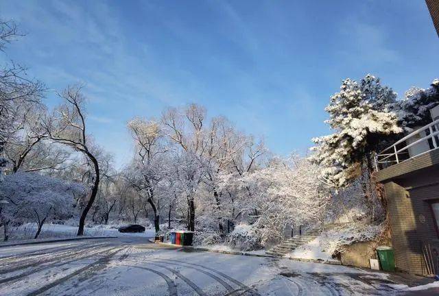 你有沒有見過雪後的豐臺南苑森林溼地公園還有千靈山銀裝素裹如夢如幻