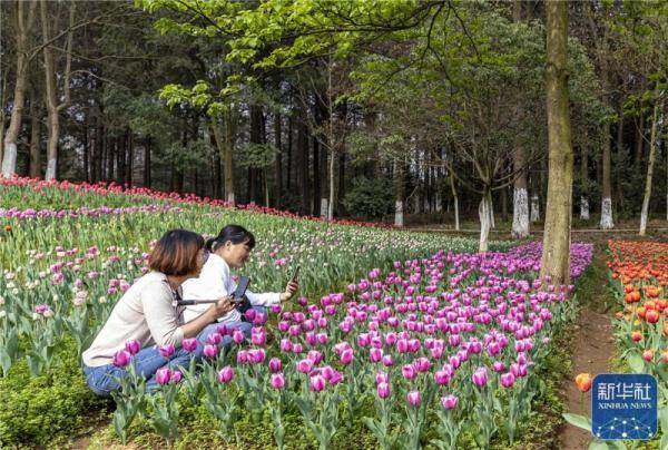 贵州龙里：春暖花开游客来