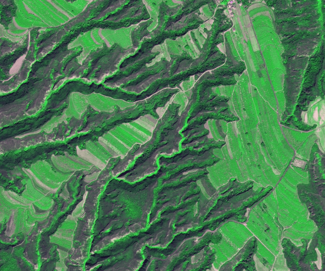 世界森林日:天眼带你看防护林丨观天测地_成像_工程_延安