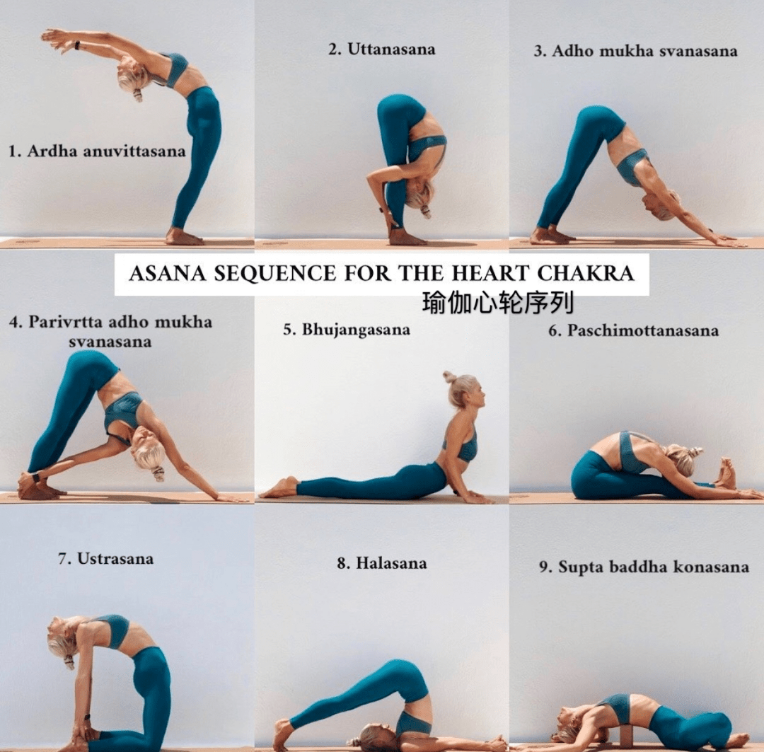 最新推出的8套理疗瑜伽,每套都是纯干货!_序列_脊柱_体式