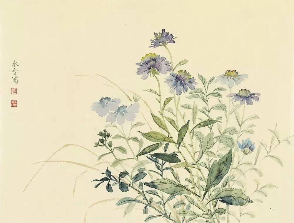 宋秦晋的没骨画花卉99幅清雅恬静如梦境般虚幻