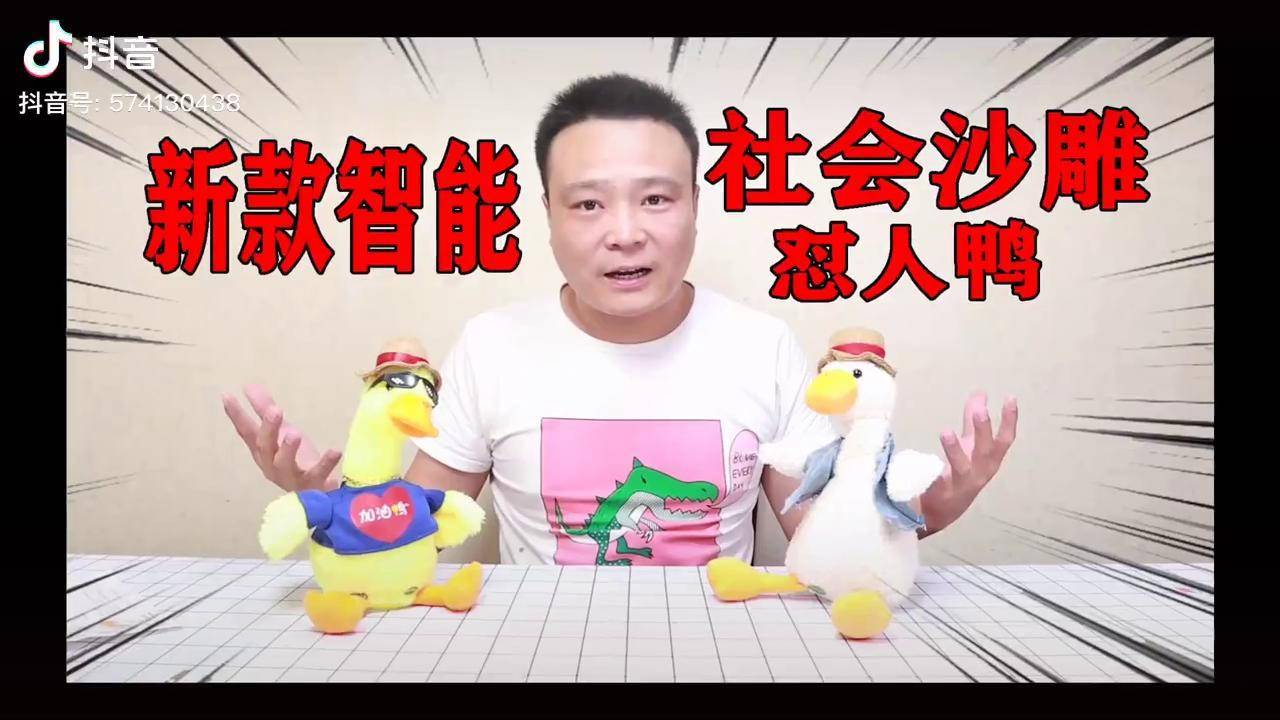 小浪哥花266买了两只网红沙雕怼人复读鸭为何一开口就骂人