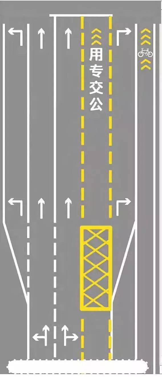 看完就明白了_专用道_车辆_枣庄