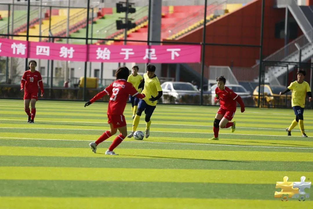 涵盖赛前分析实时比分与精彩回放