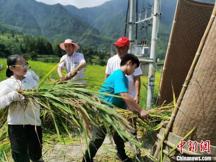 文化|侨乡共富追梦人：让农业文化遗产“活”起来