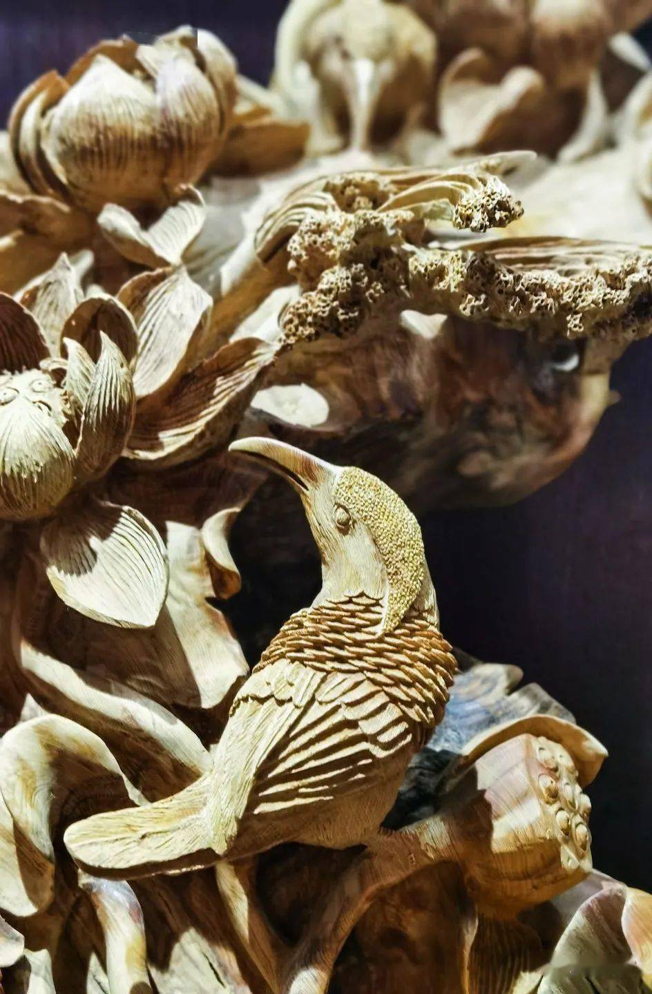 余江采风8夜游韬奋小镇