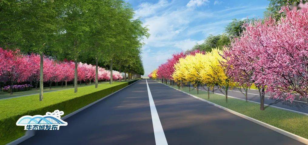 道路绿化树苗有哪些