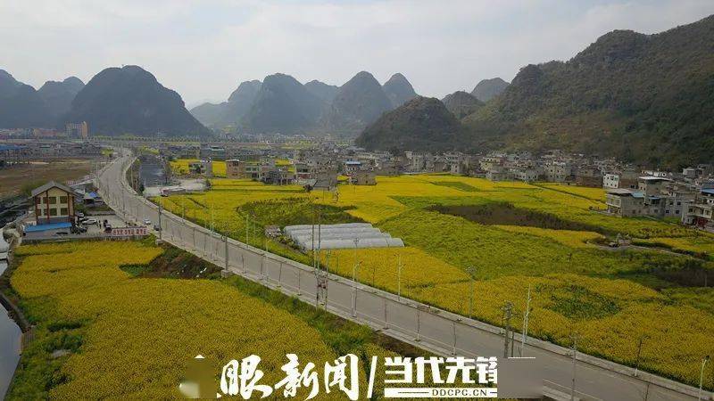 航拍安顺美丽乡村紫云猫营镇牛场坡村千亩油菜香