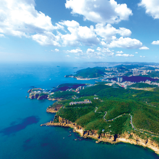 助力大连创建东亚文化之都丨大连入选东亚文化之都候选城市你了解多少