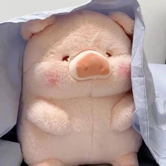 可爱猪猪头像萌萌的猪猪朋友圈封面图