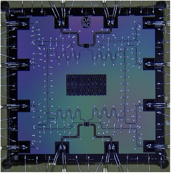 Lab-|达摩院公布量子计算重大进展，新型量子比特挑战传统比特