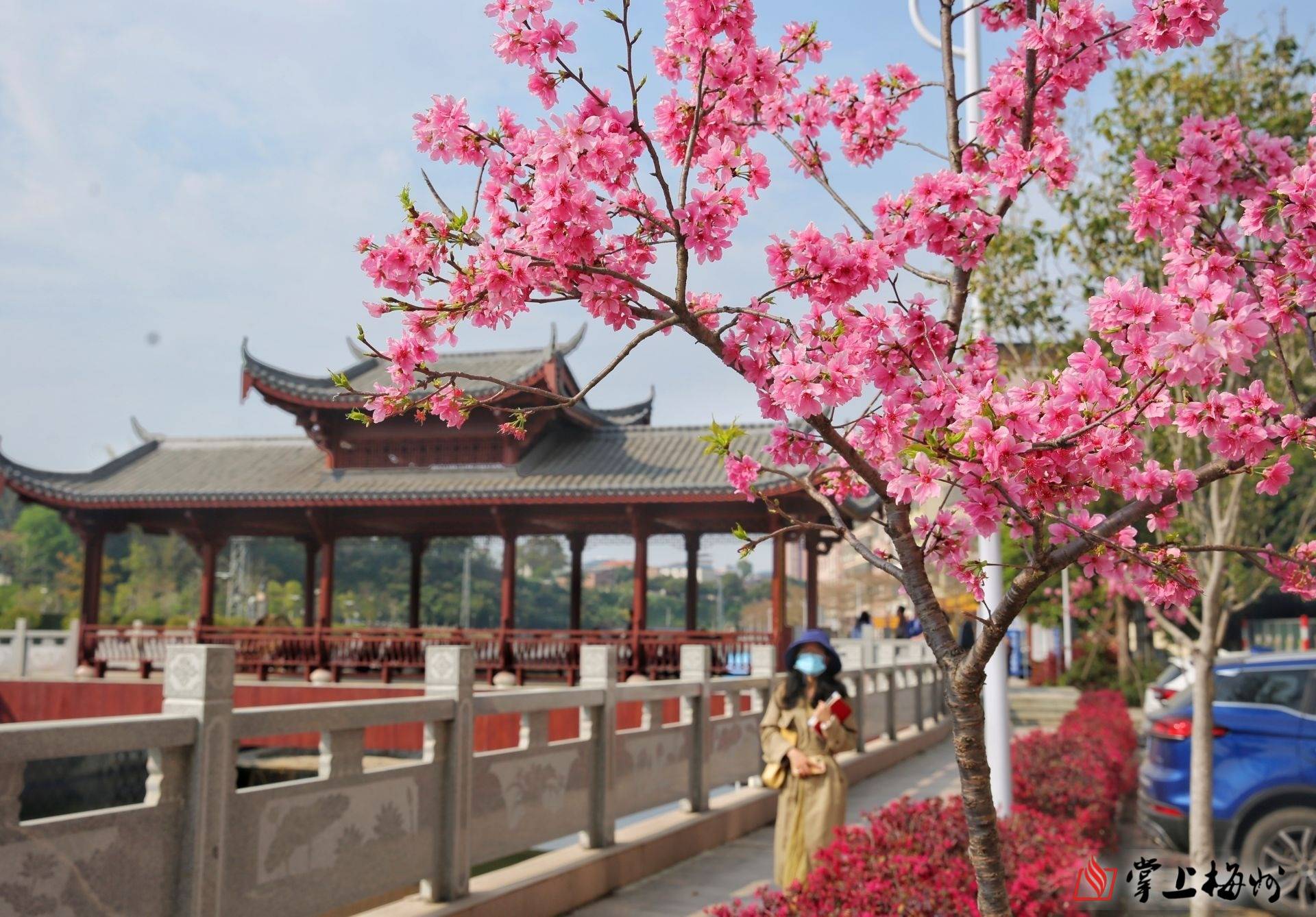 蕉岭网红景点图片