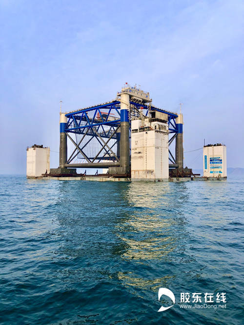 春天的烟台：聚“智”向未来 聚“力”再出发