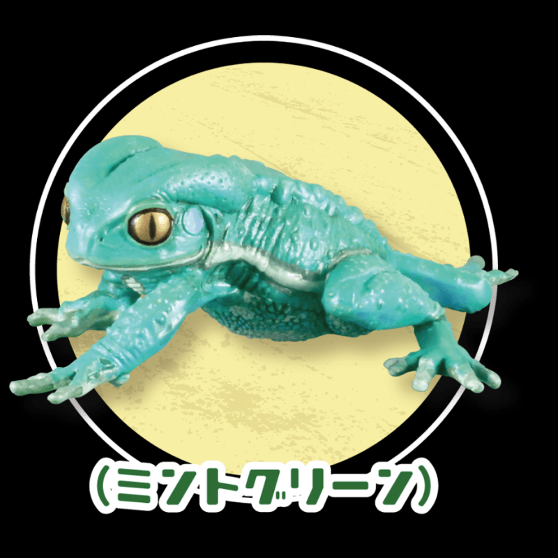 Frog|模玩资讯：SO-TA 拟真生物第四弹 1/1 散疣短头蛙&蜡白猴树蛙扭蛋