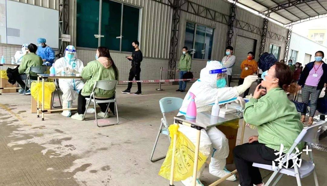 别样风景线横沥企业员工化身核酸采样志愿者